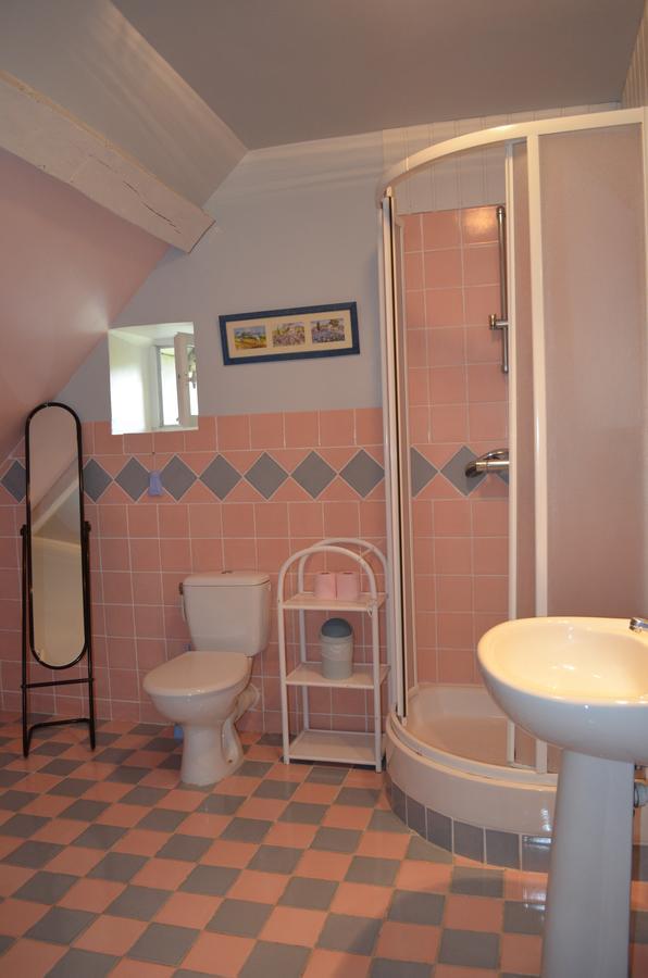 La Ferme Du Chateau Bed and Breakfast Tresnay Eksteriør billede