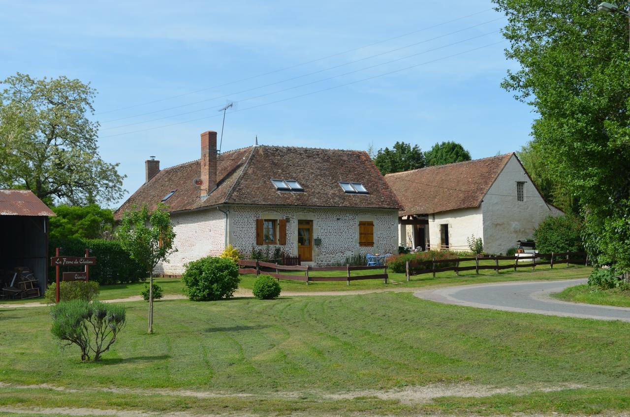 La Ferme Du Chateau Bed and Breakfast Tresnay Eksteriør billede
